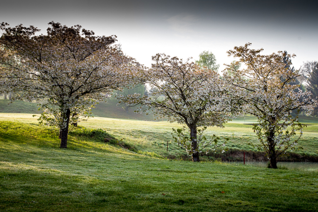 Springtime at Cely Golf Club near Paris, France