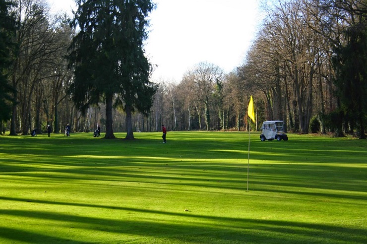 Mature trees at International Club dy Lys Golf Club, Chantilly, France