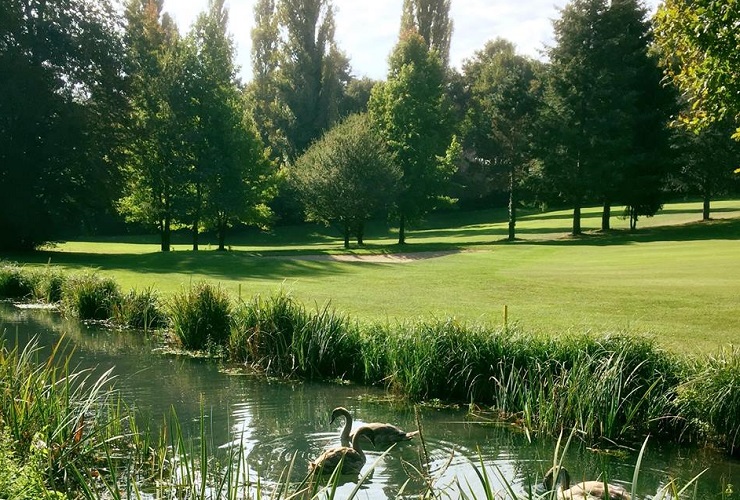 Wildlife galore at Vaugouard Golf Club, south of Paris, France