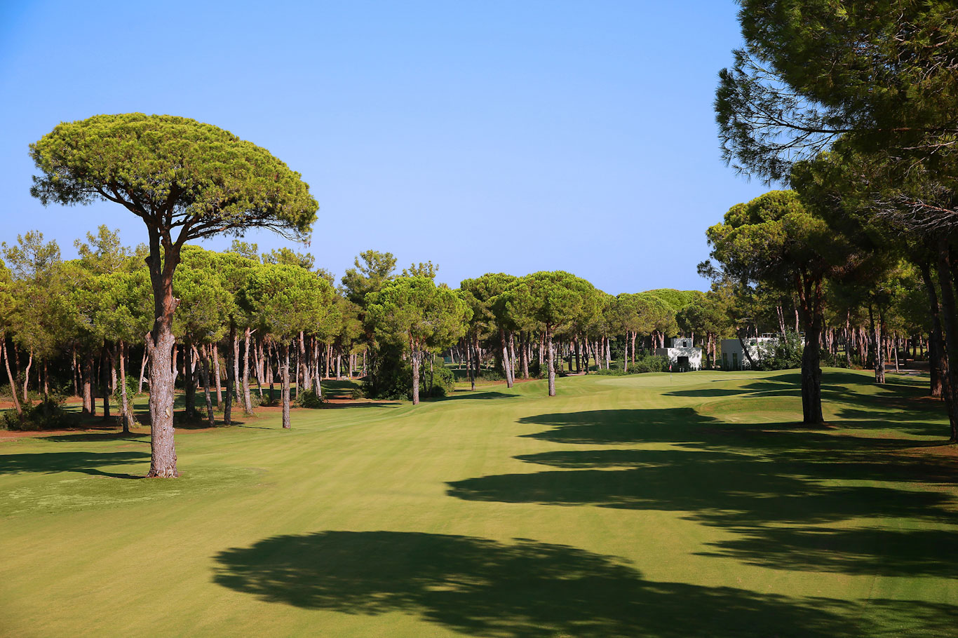 The sixth hole on Gloria Old Course, Belek, Turkey