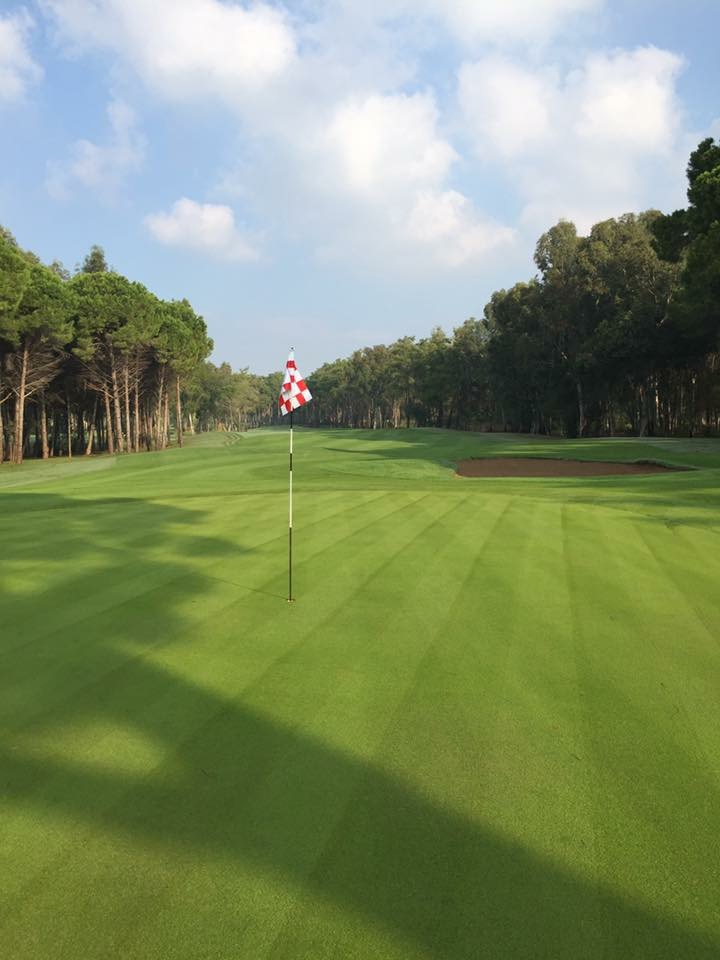 Immaculate greens at Kaya Palazzo Golf course, Belek, Turkey