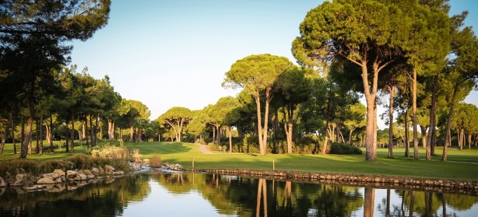 Robinson Nobilis-17000