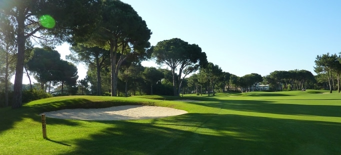 Robinson Nobilis-17001