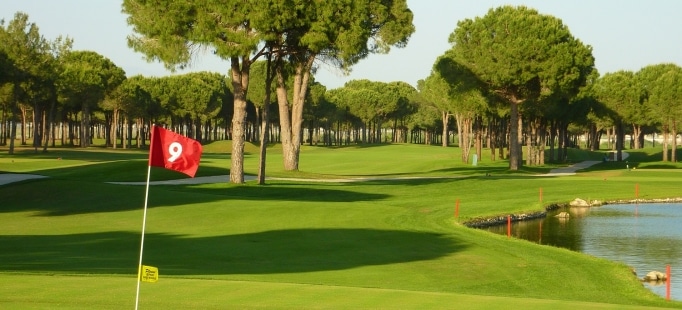 Robinson Nobilis-17002