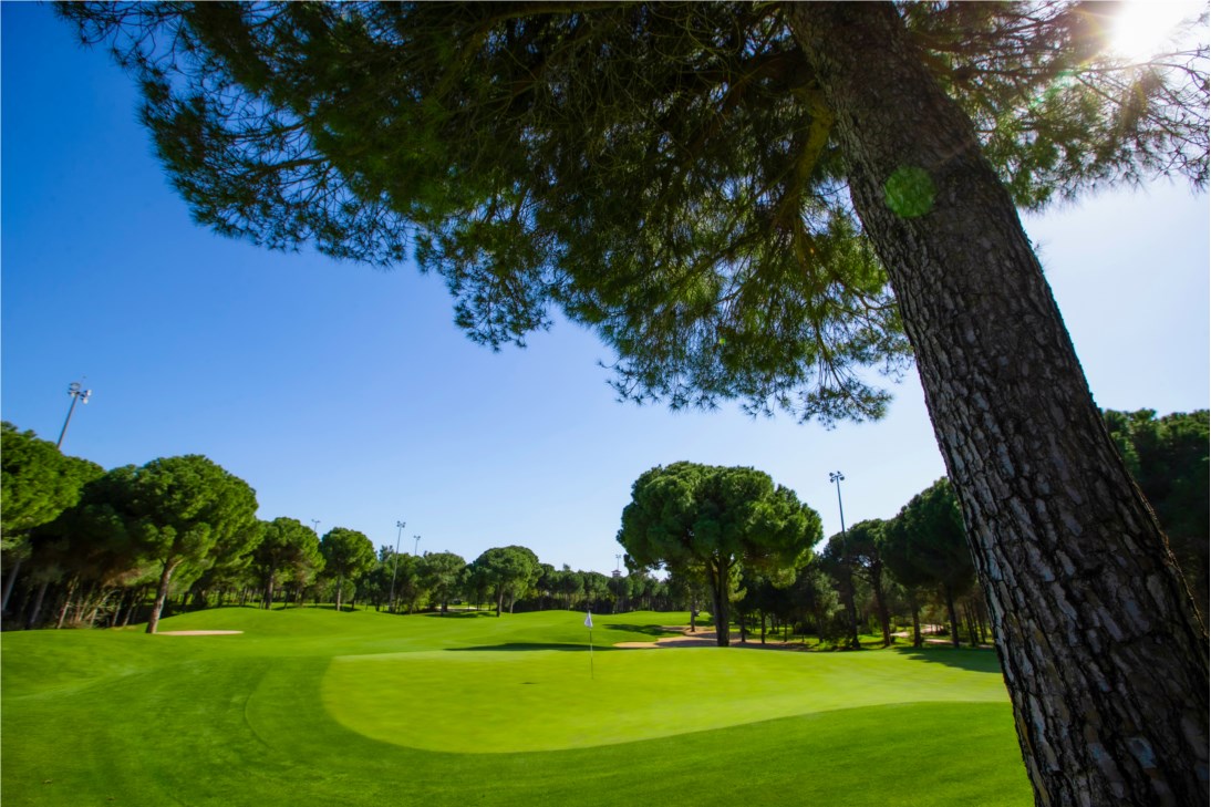 The green on the 15th hole at Maxx Royal Golf Course, Belek, Turkey