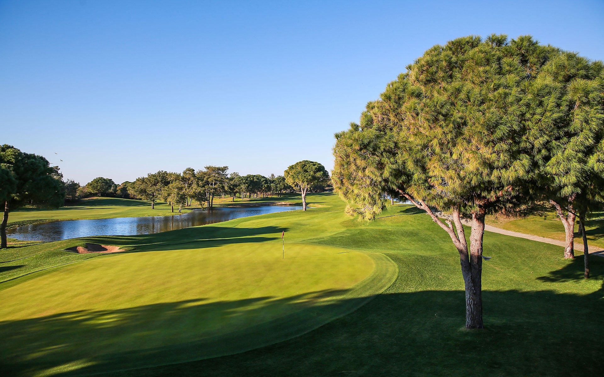 Titanic Golf Courses