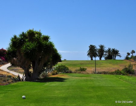 On the tee at Amarilla Golf Course, Tenerife