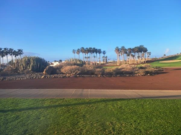 Palm trees line the fairways at Golf del Sur, Tenerife. Golf Planet Holidays.
