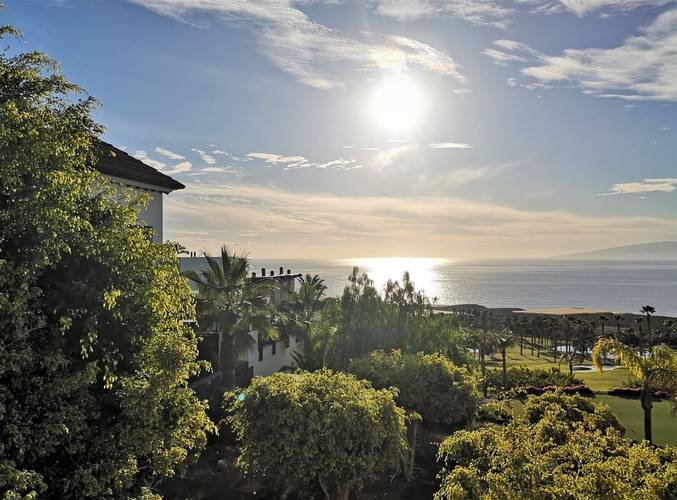 Luscious surroundings at Las Terrazas de ABAMA, Tenerife