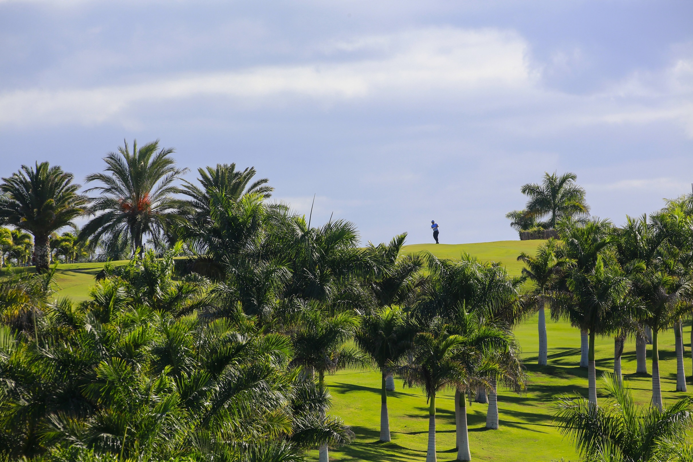 Meloneras Golf Course-15606