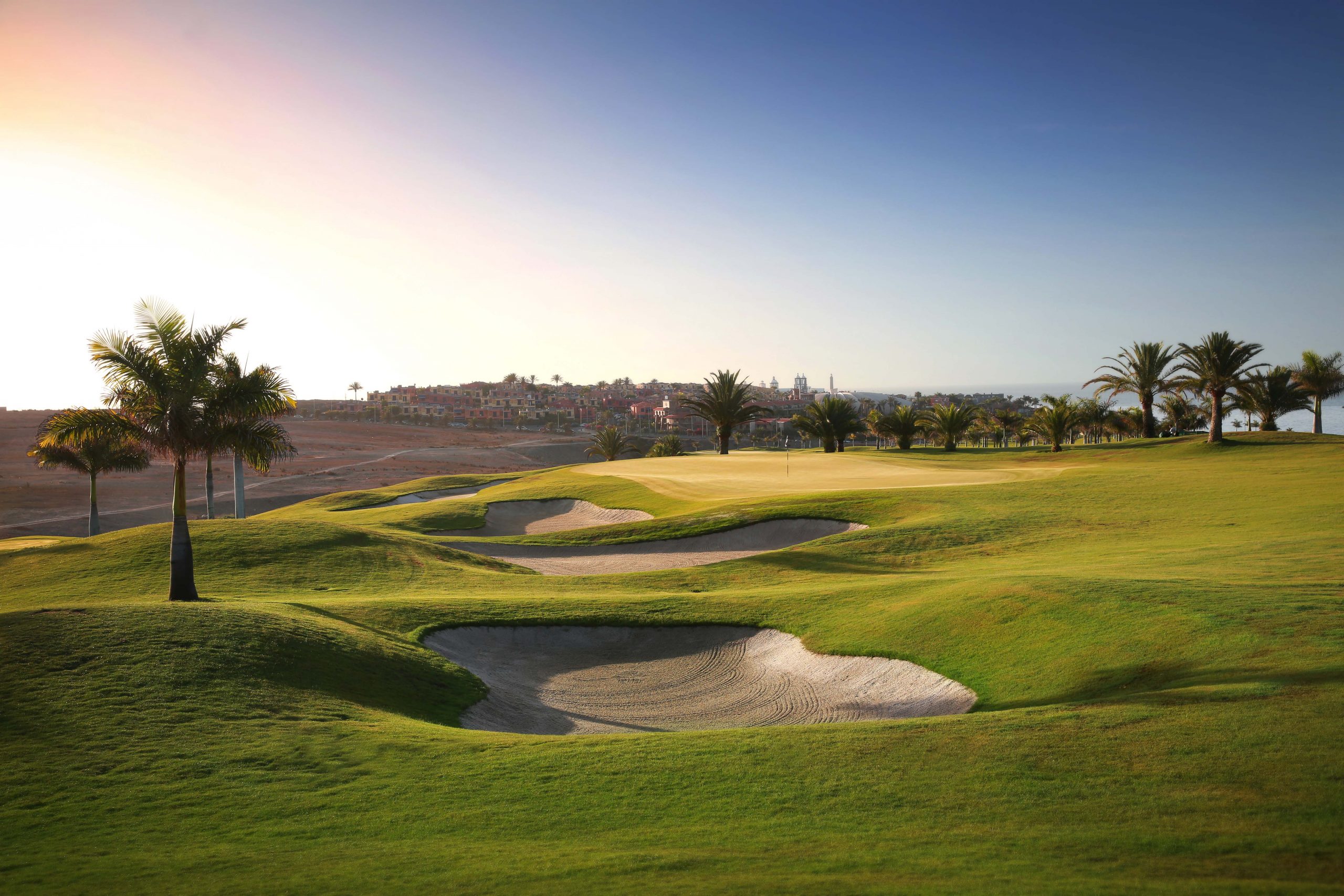 Plenty of palm trees at Meloneras Golf Club, Gran Canaria, Canary Islands