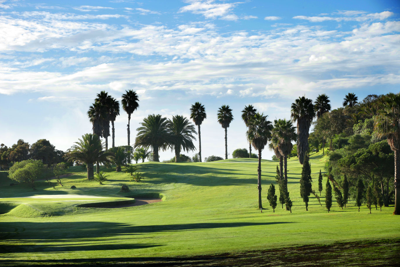 Mature palm trees surround the greens at Real Las Palmas Golf Club, Gran Canaria, Canary Islands