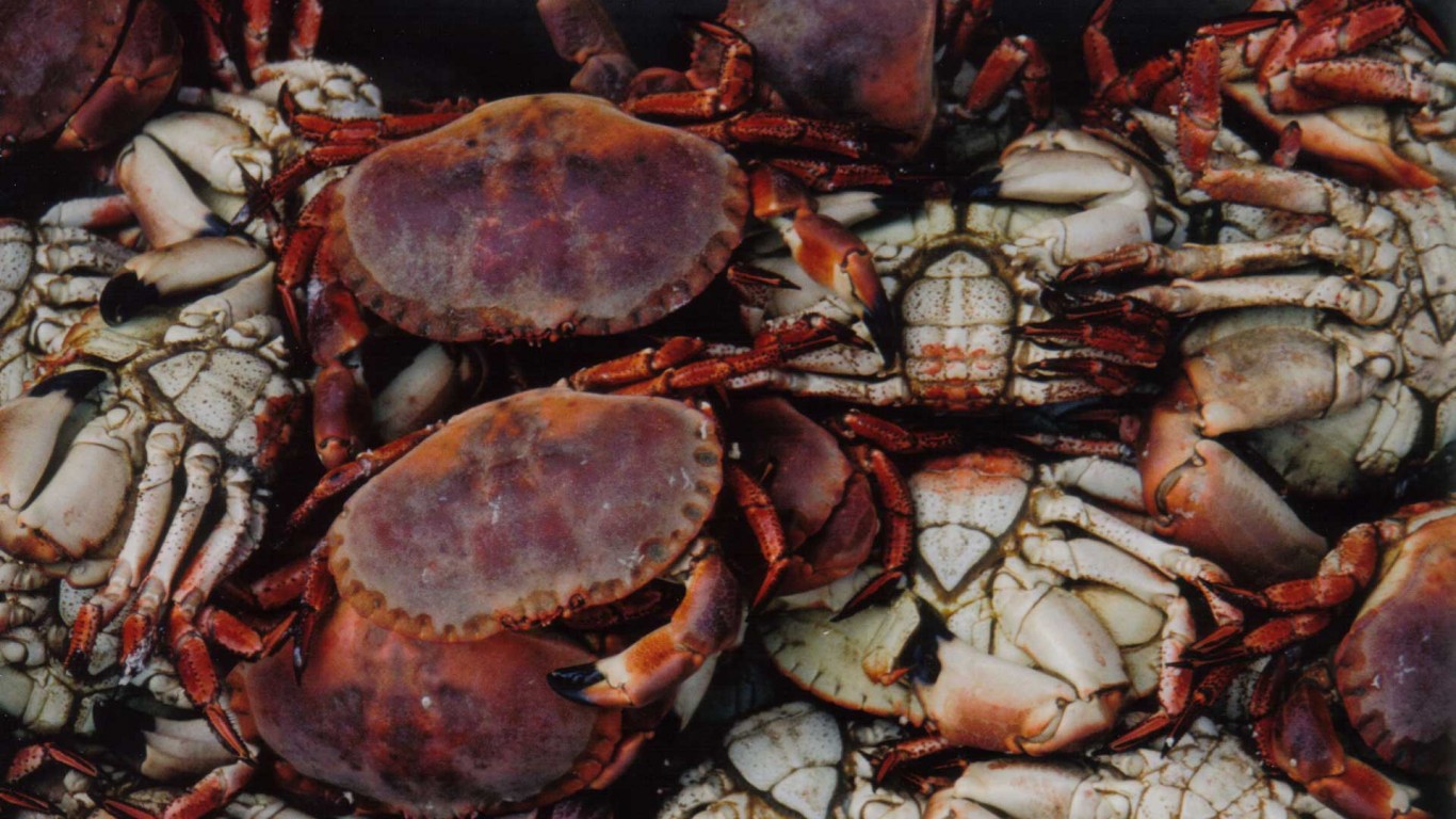 Seafood galore at The Red Lion, Cromer, Norfolk, England