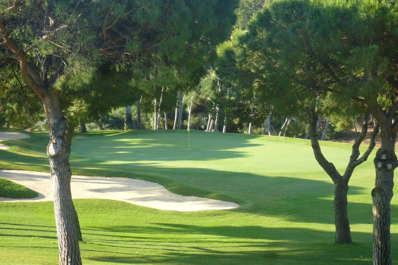 Plenty of trees at Golf Torrequebrada, Malaga, Costa del Sol, Spain. Golf Planet Holidays