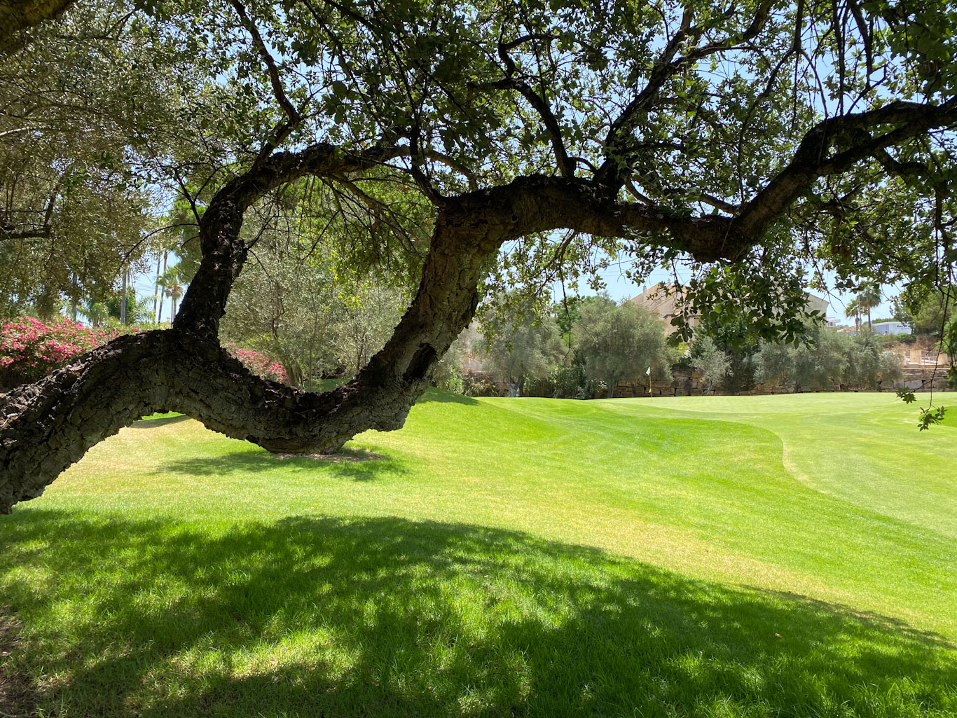 The 14th hole at Marbella Golf and Country Club, Spain