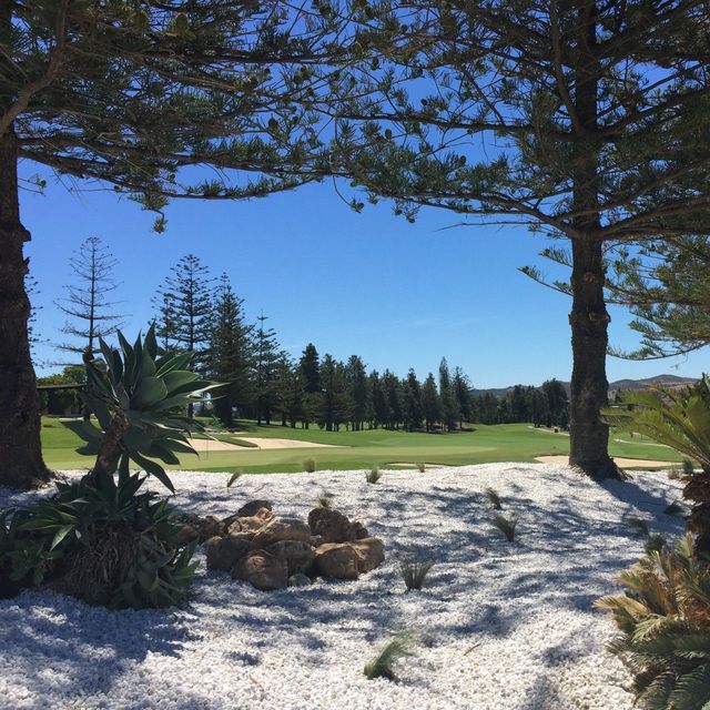 Tree-lined fairways at Mijas Golf, Costa del Sol. Spain. Golf Planet Holidays.