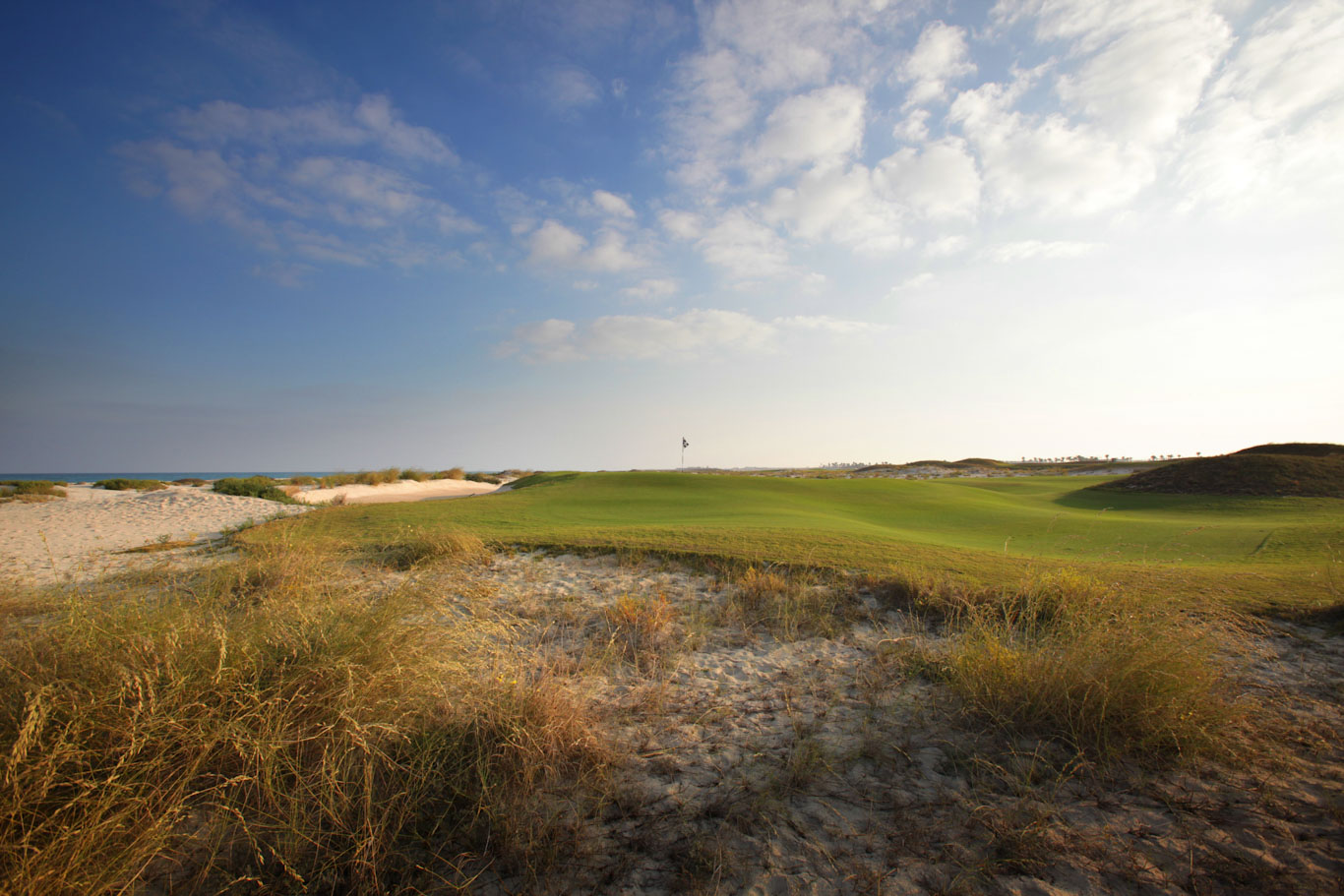 Heading for the green at Saadiyat Beach Golf Club, Abu Dhabi