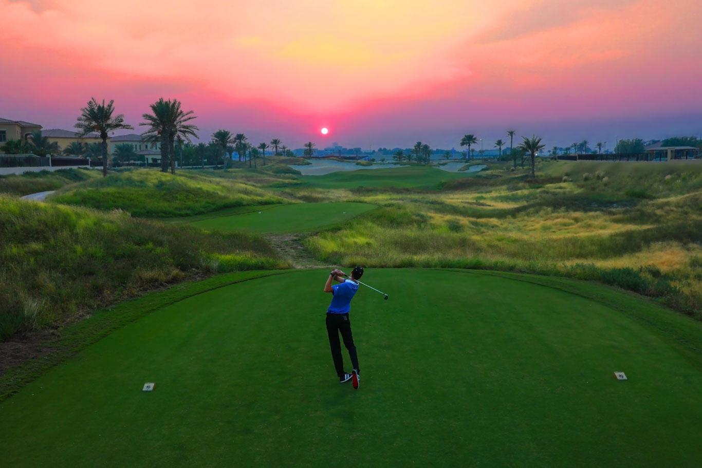 Playing towards the sinking sun at Saadiyat Beach Golf Club, Abu Dhabi