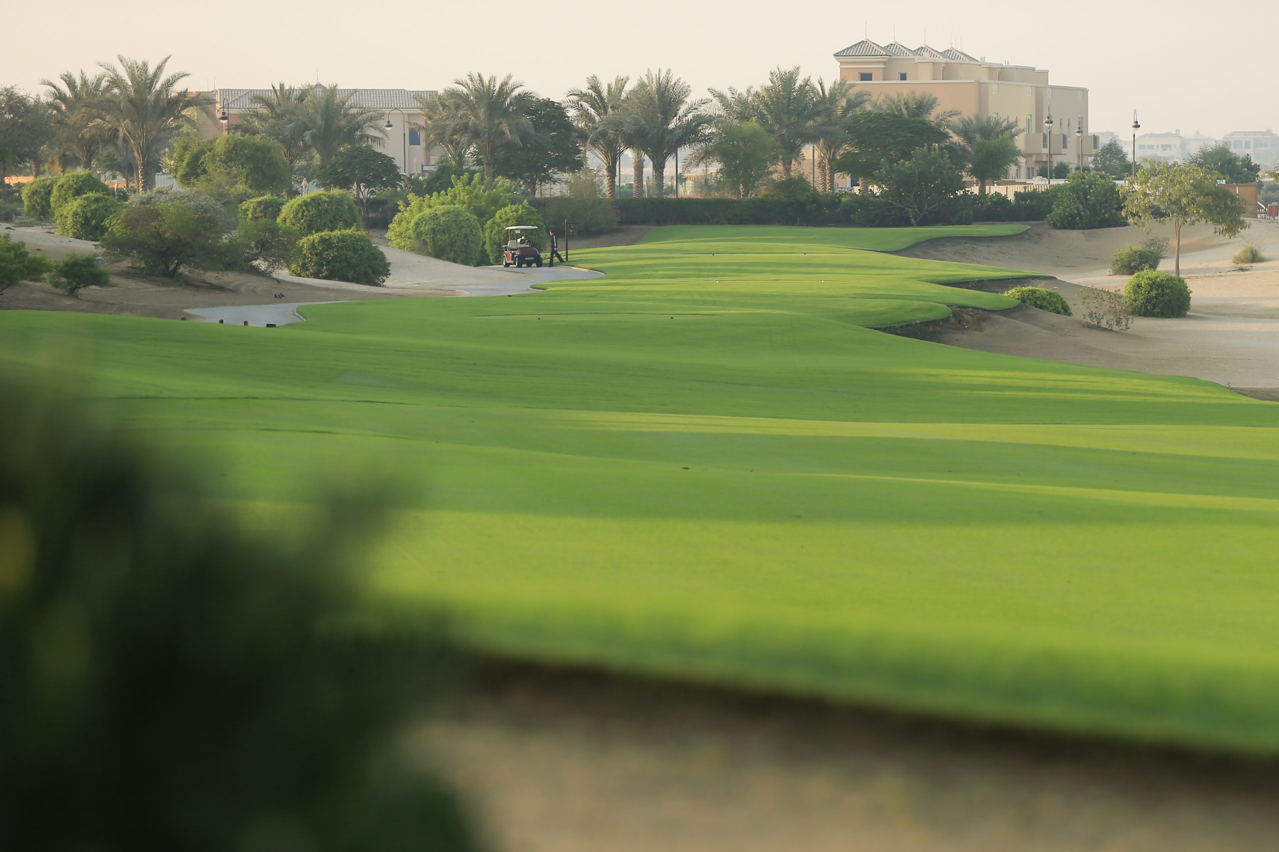 On the fairway at The Els Club, Dubai
