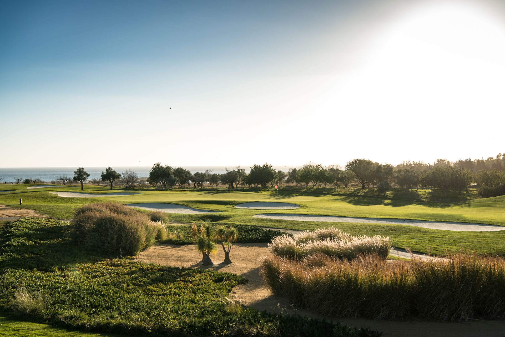 On the green at Quinta da Ria golf course, Tavira, Eastern Algarve, Portugal