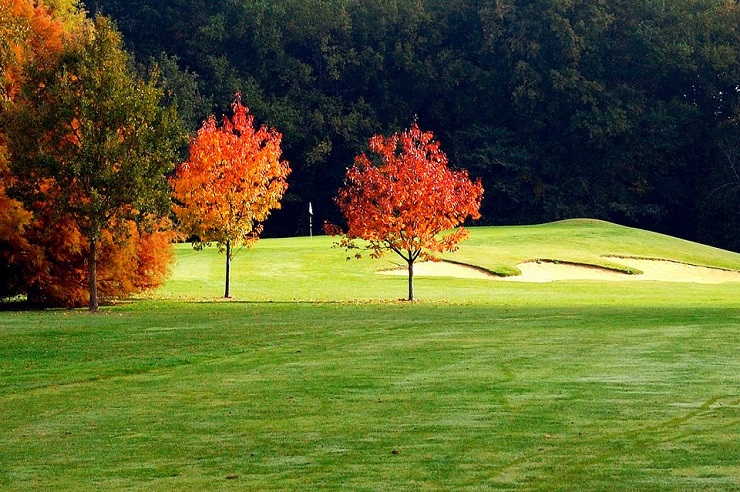 Autumnal scene at Anjou Golf Club, near Angers, Loire, France