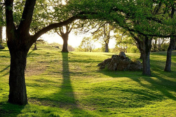 Enjoy the scenery at Bauge Pontigne Golf Club, near Angers, Loire, France
