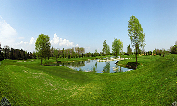 Mature trees at Beaune Levernois Golf Club, Burgundy, France