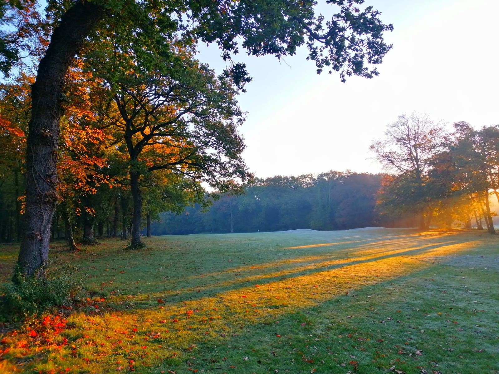 Shadows over Caen golf club, in Normandy, France