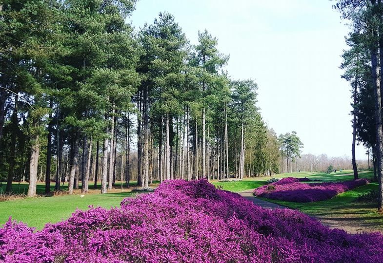 Beautiful surroundings at Champ de Bataille Golf Club, Normandy, France