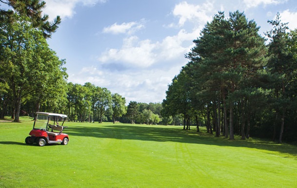 Buggies at Country Club Norges Dijon Bourgogne Golf Club, France