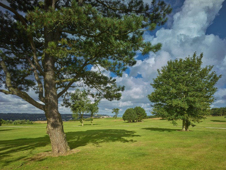 On the links at Dieppe Golf Club, Normandy, France