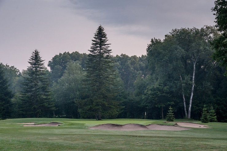 Mature background to Lyon Golf Club, Villette d'Anthon, France