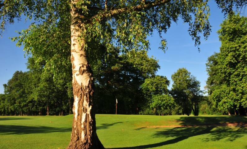 Towards the green at Orleans Donnery Golf Club, The Loire France