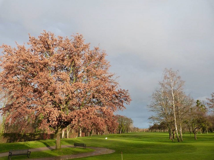 Strasbourg Golf Club-2157