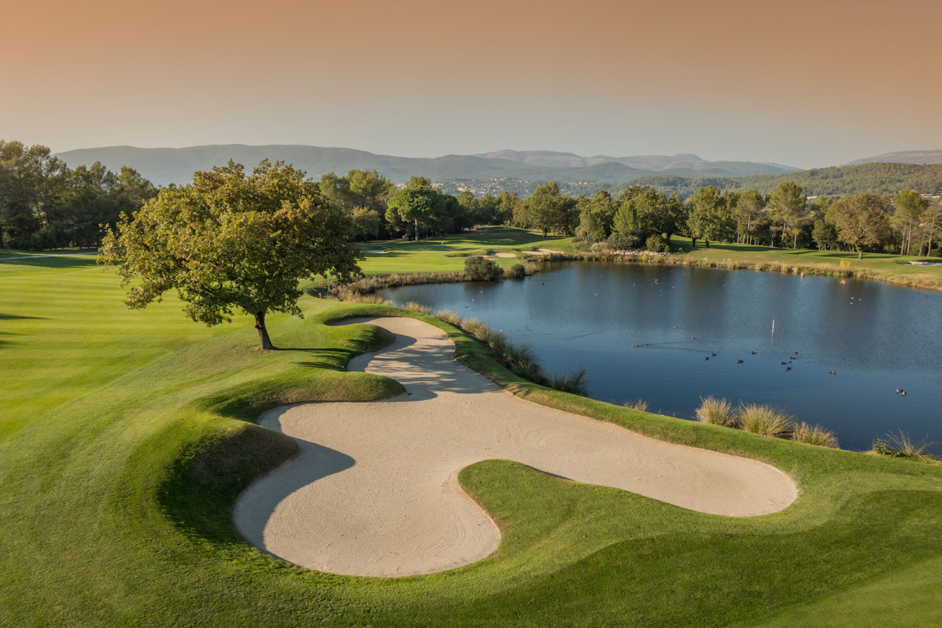 Superb conditions at Terre Blanche, South of France