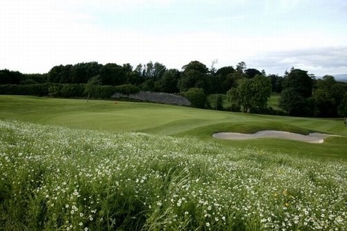 Limerick County Golf Course, Ireland. Golf Planet Holidays
