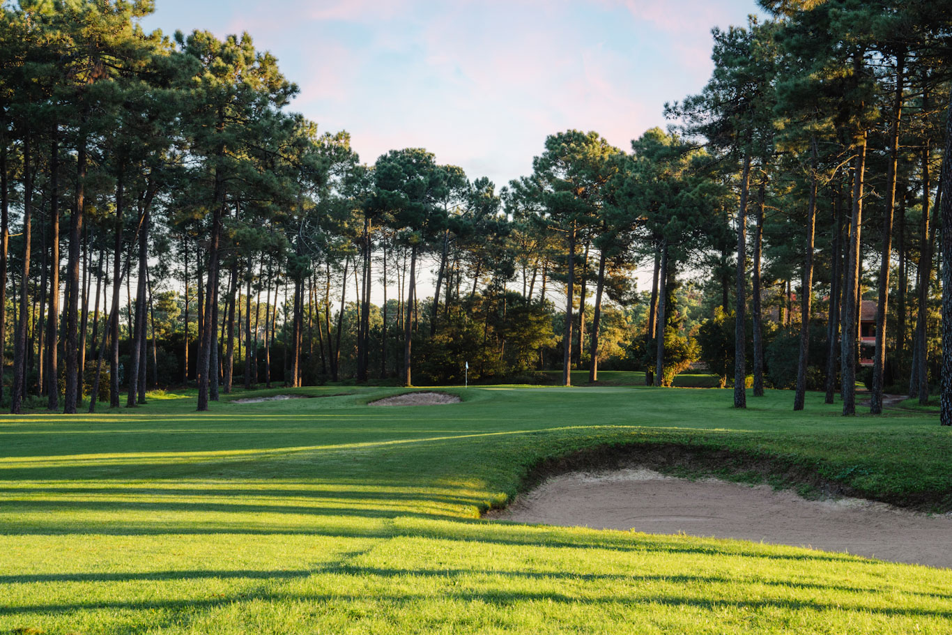 Trees galore at The Aroeira Golf Course, near Lisbon, Portugal. Golf Planet Holidays