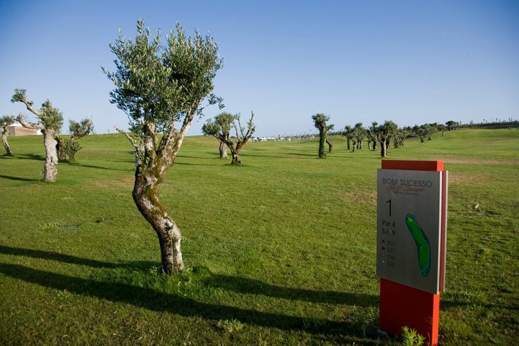 Bom Sucesso Golf Course-8927