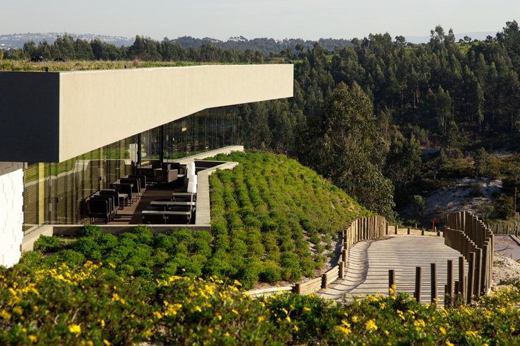 Bom Sucesso Golf Course-8929