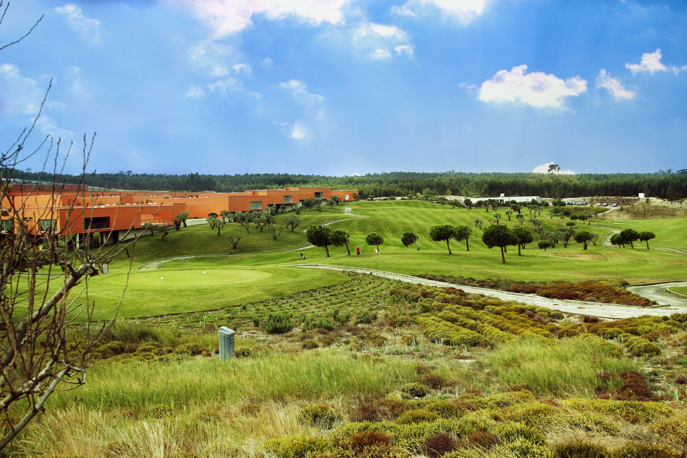 Bom Sucesso Golf Course-8936