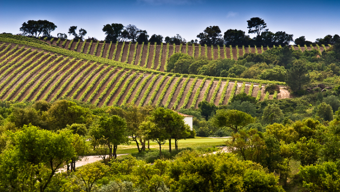 Dolce CampoReal Hotel ****, Turcifal