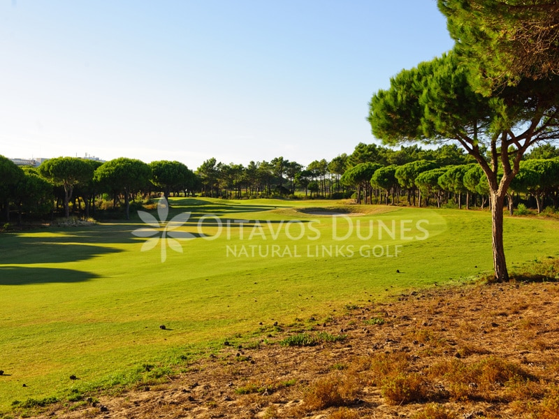 Oitavos Golf Course-8840