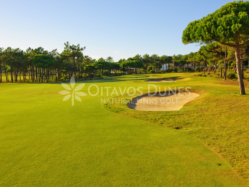 Oitavos Golf Course-8841