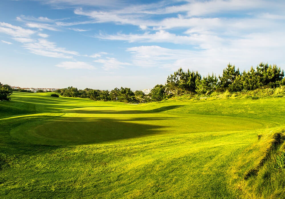 Praia d'el Rey Golf Course-15941