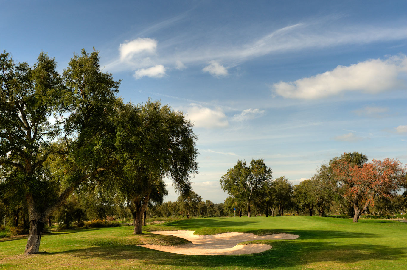Shadows across the green at Ribagolfe Golf Club, Lisbon, Portugal