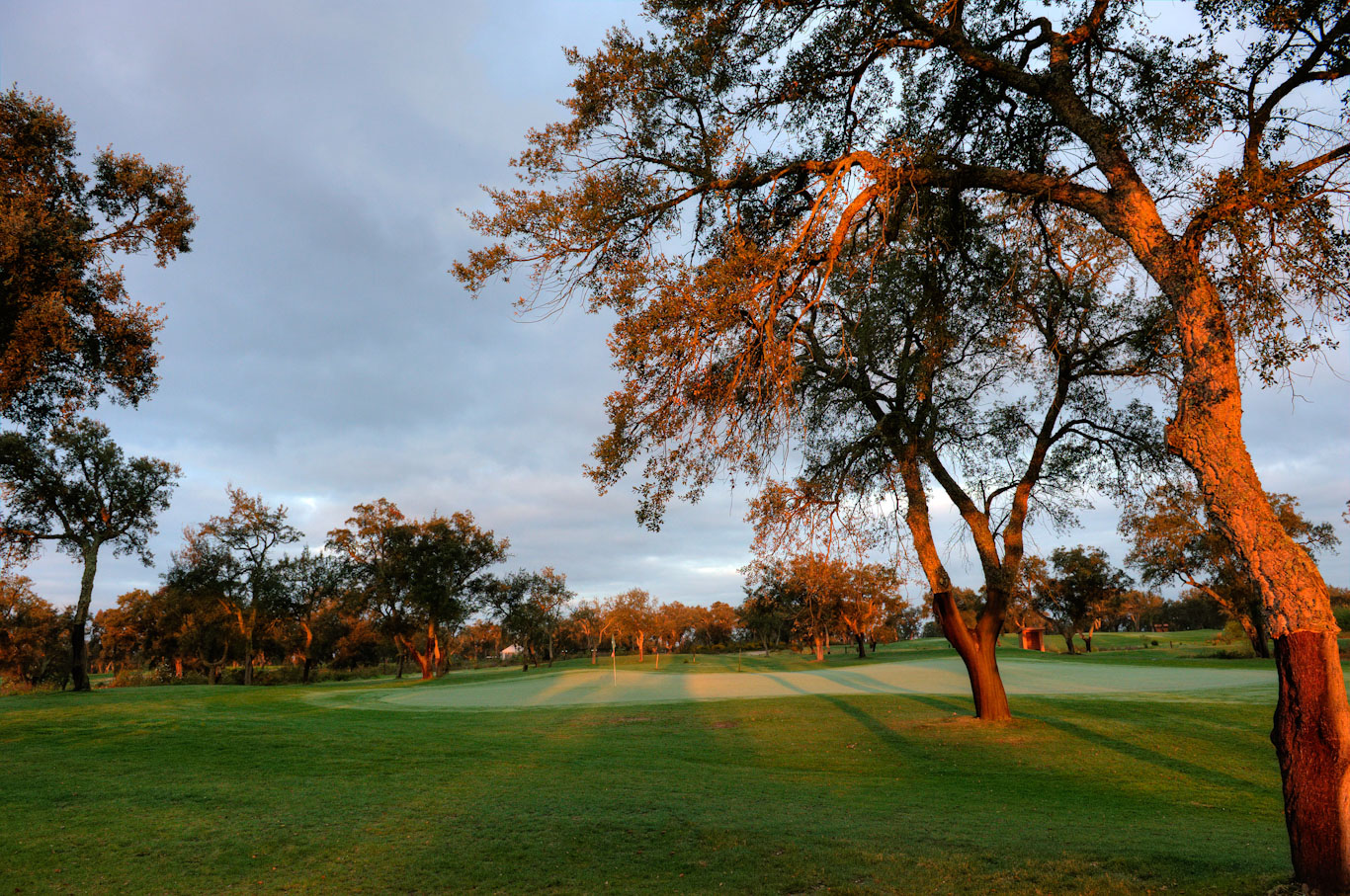 The 18th green at Ribagolfe, Coruche, Portugal