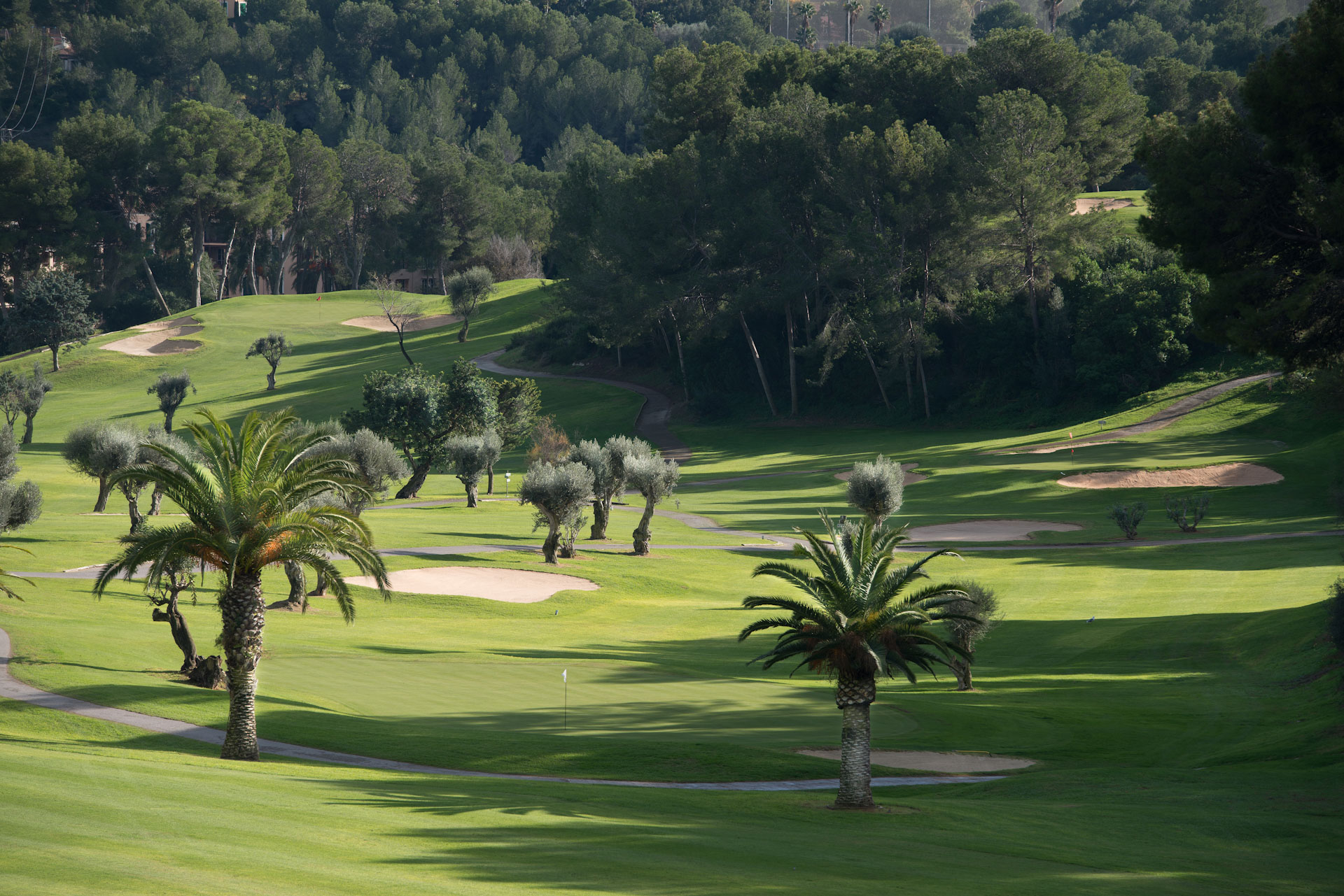 Real Golf de Bendinat Golf Course-16404