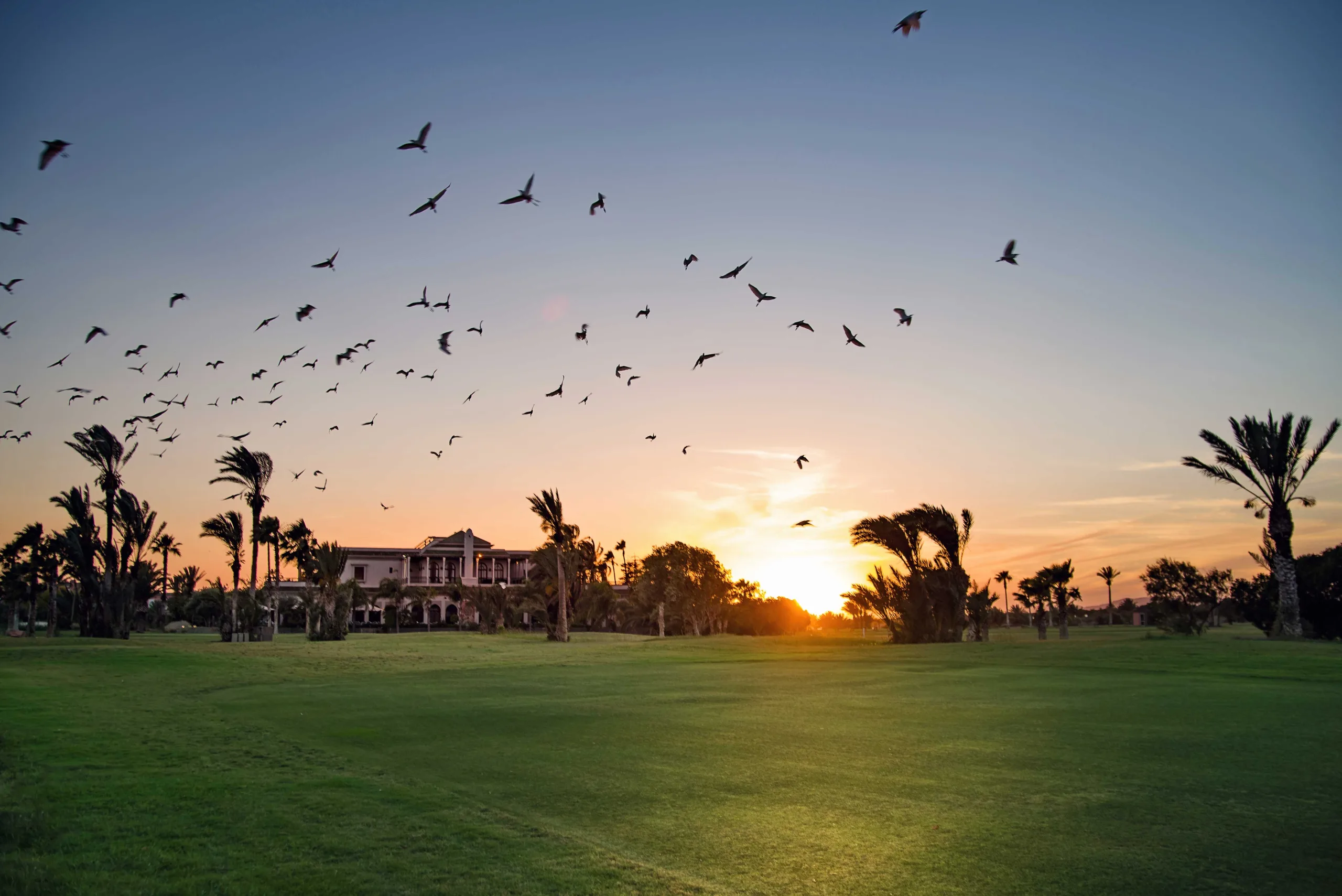 Sunset at Pickalbatros Golf Club Palmeraie, Marrakech, Morocco. Golf Planet Holidays