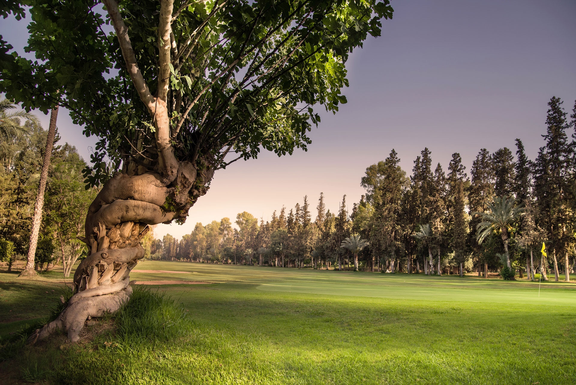 Royal Golf de Marrakech Golf Course, Morocco. Golf Planet Holidays.