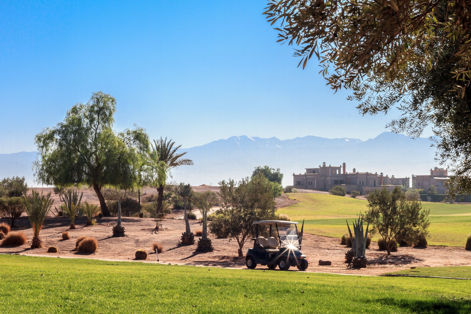 Samanah Golf Course-15965